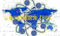 三角洲容器直装【BBA】辅助